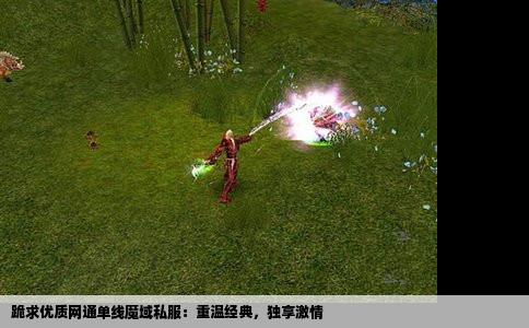 跪求优质网通单线魔域私服：重温经典，独享激情