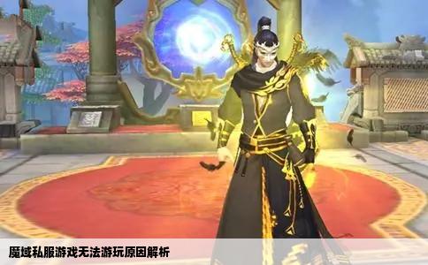 魔域私服游戏无法游玩原因解析